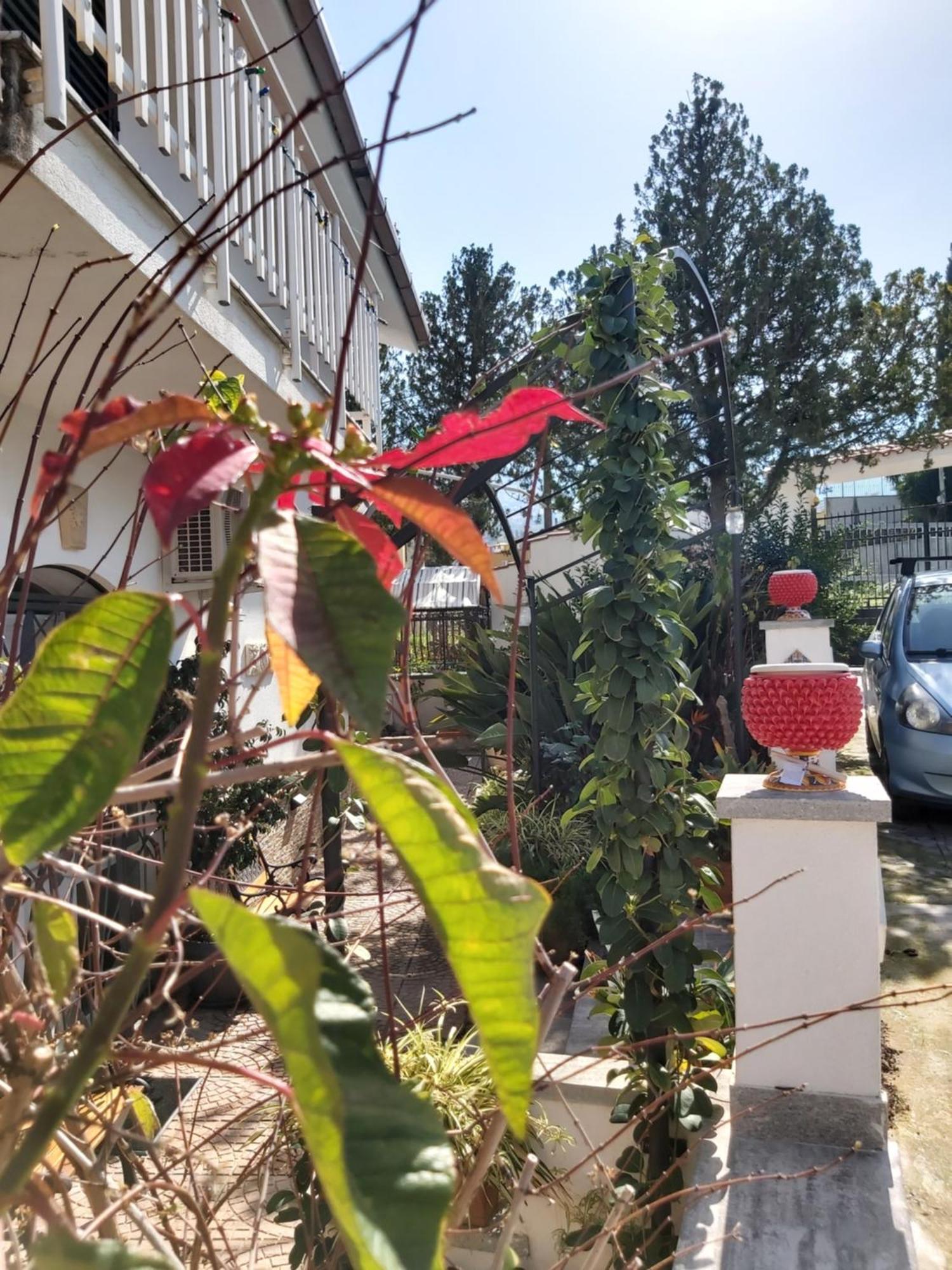 La Perla Della Conca D'Oro Βίλα Παλέρμο Εξωτερικό φωτογραφία